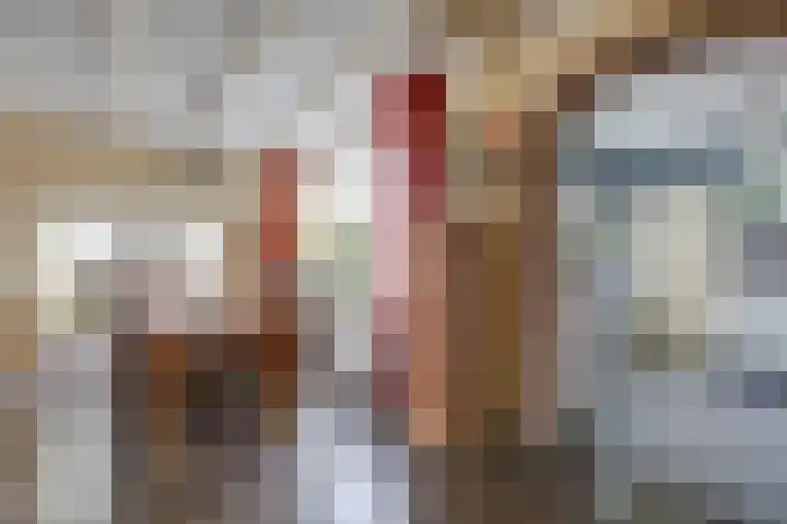 Steenstraat 8 Didam thumbnail 19
