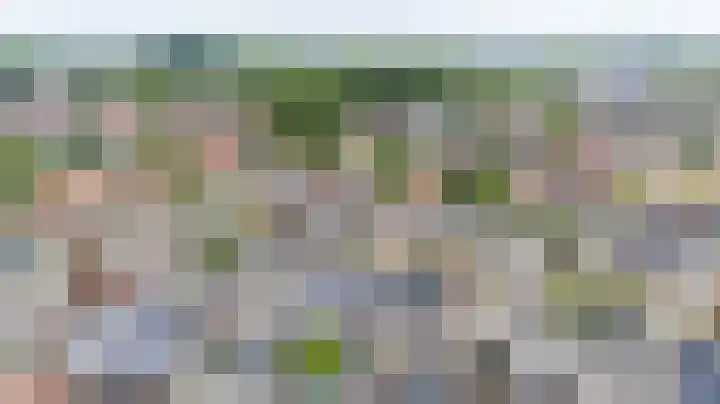 Steenstraat 8 Didam foto 2