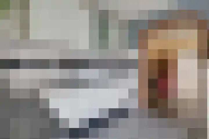 Steenstraat 8 Didam thumbnail 21