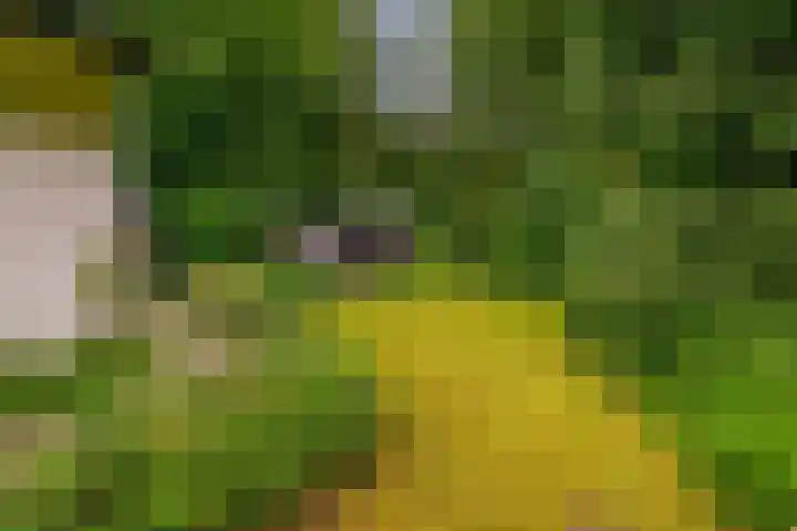 Steenstraat 8 Didam thumbnail 22