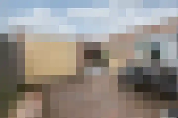 Steenstraat 8 Didam thumbnail 27