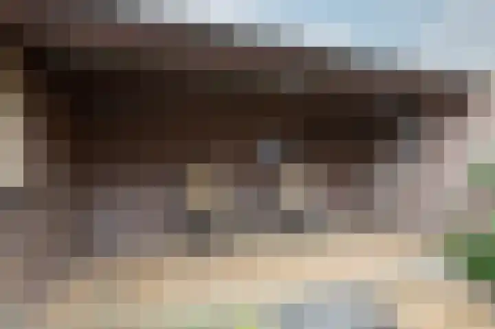 Steenstraat 8 Didam thumbnail 30