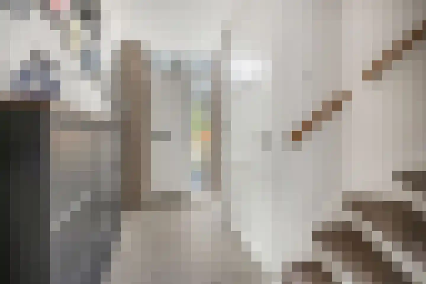 Steenstraat 8 Didam thumbnail 39