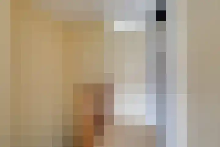 Steenstraat 8 Didam thumbnail 42