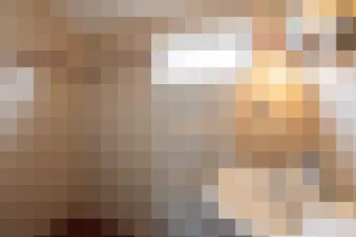 Steenstraat 8 Didam thumbnail 43