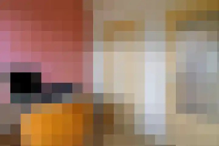 Steenstraat 8 Didam thumbnail 47