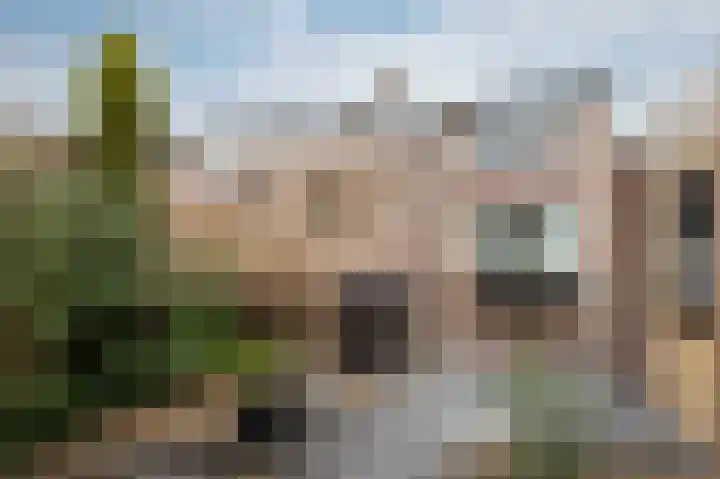 Steenstraat 8 Didam thumbnail 6