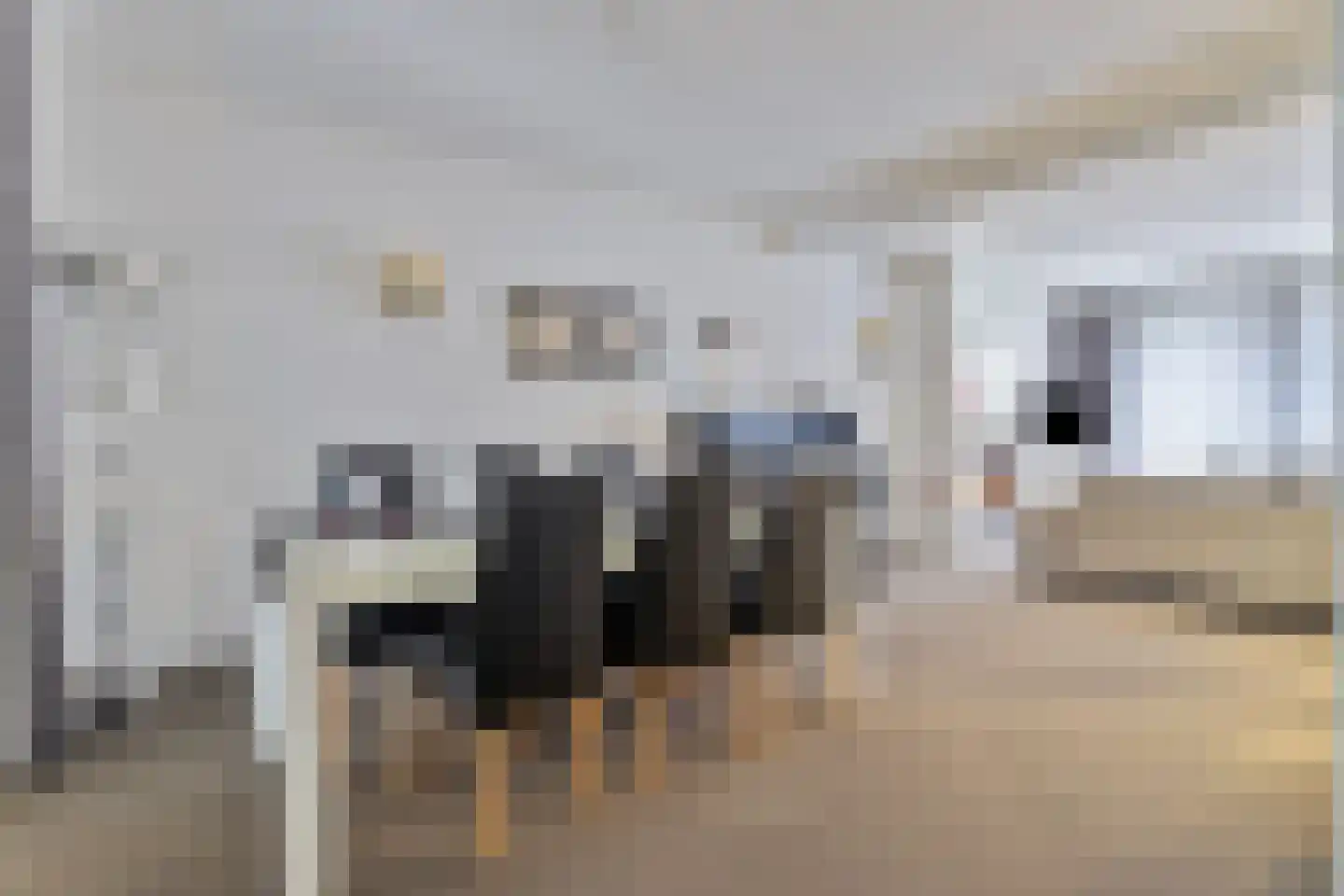 Steenstraat 8 Hulst thumbnail 15