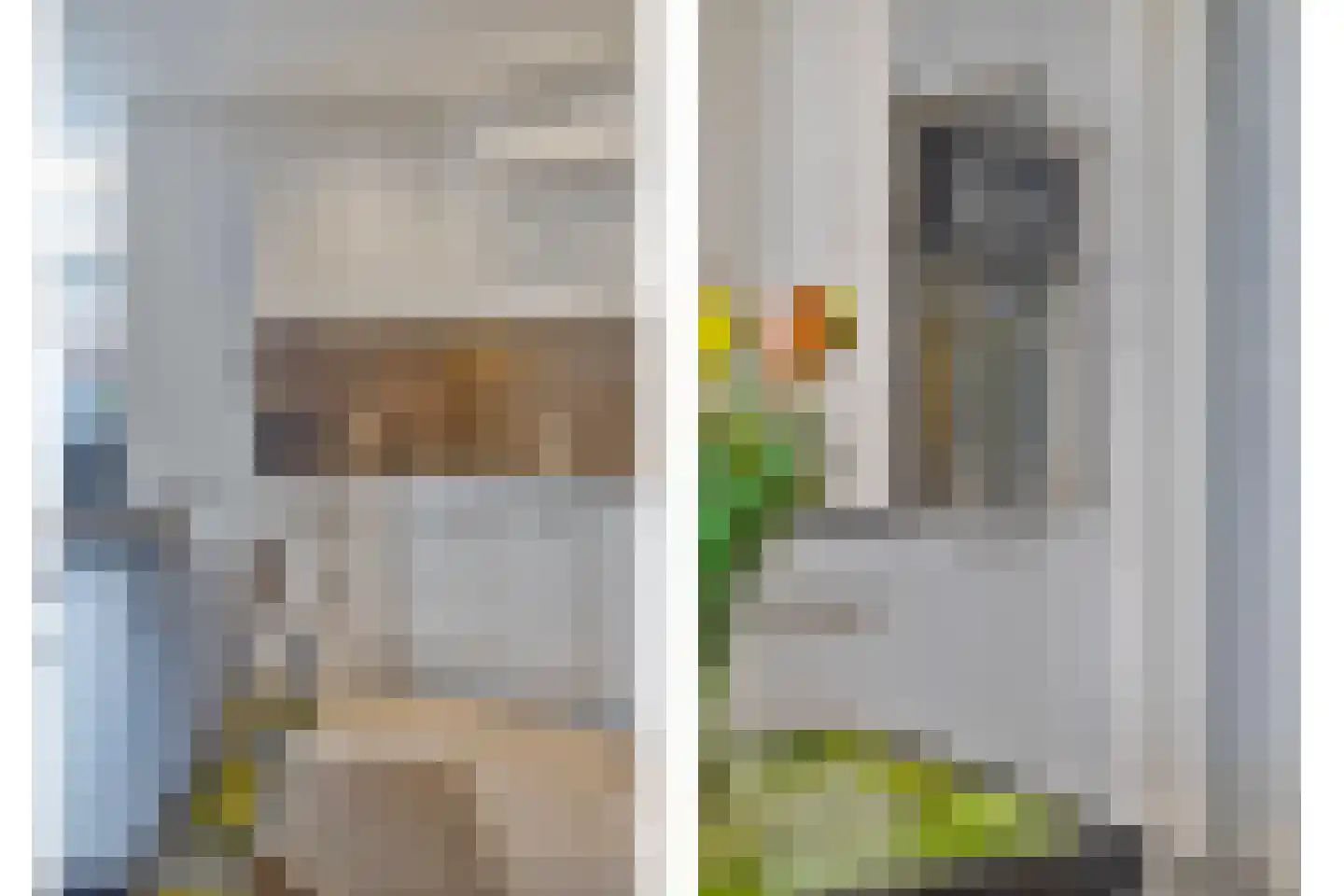 Steenstraat 8 Hulst thumbnail 18