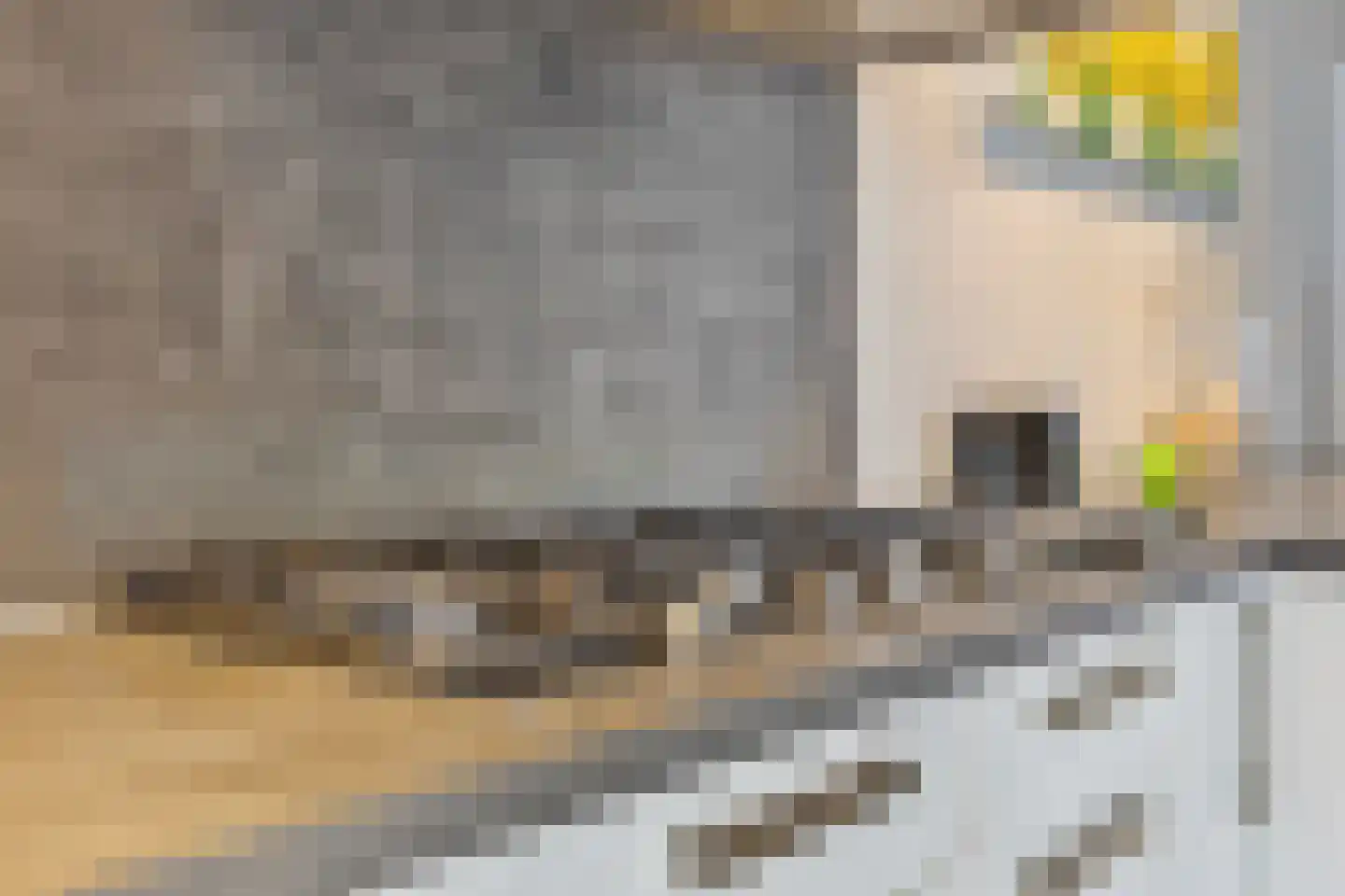 Steenstraat 8 Hulst thumbnail 19