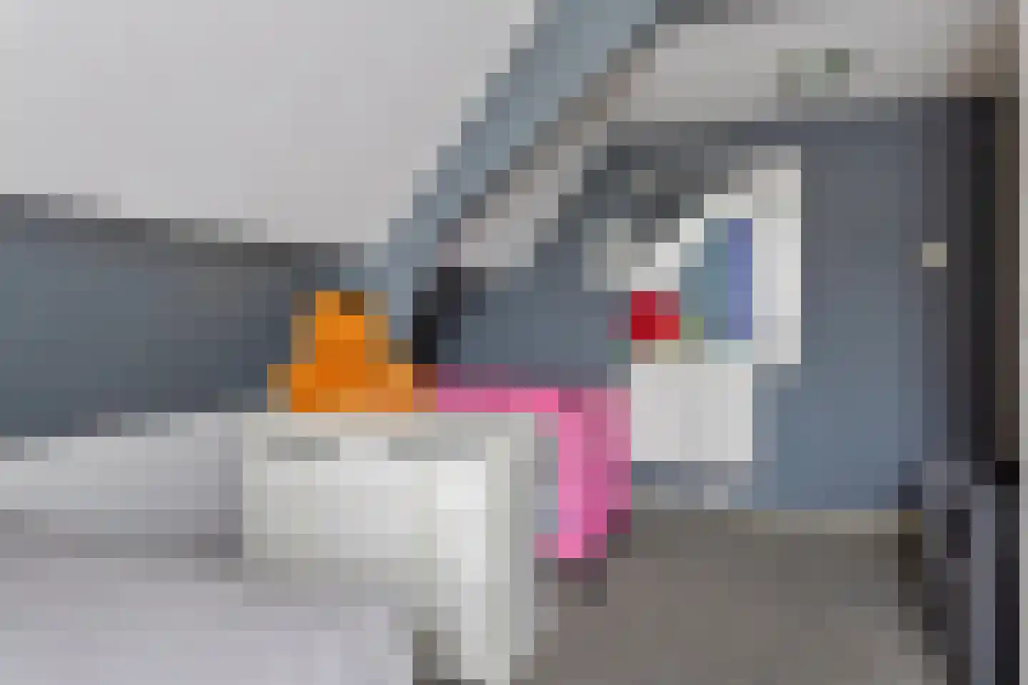 Steenstraat 8 Hulst thumbnail 38