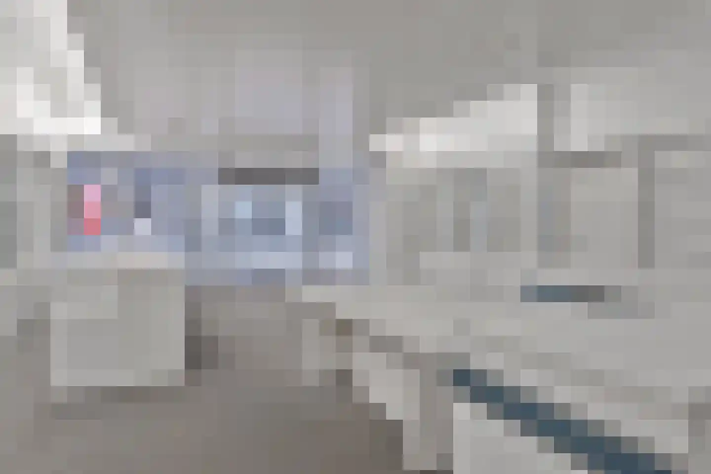 Steenstraat 8 Hulst thumbnail 43