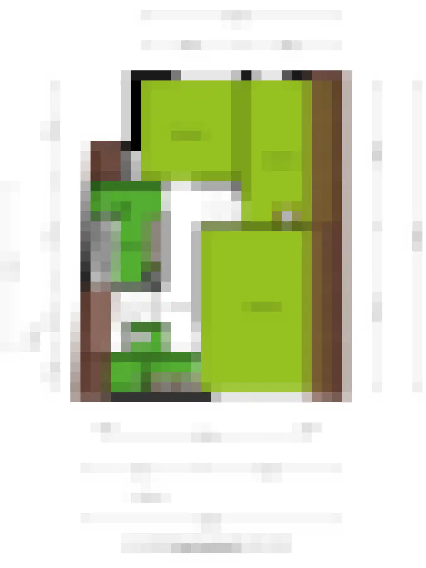 Steenstraat 8 Hulst thumbnail 58