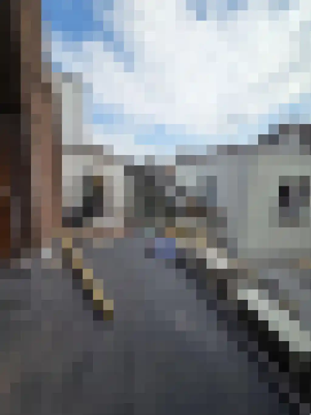 Steenstraat 8 Leiden thumbnail 6
