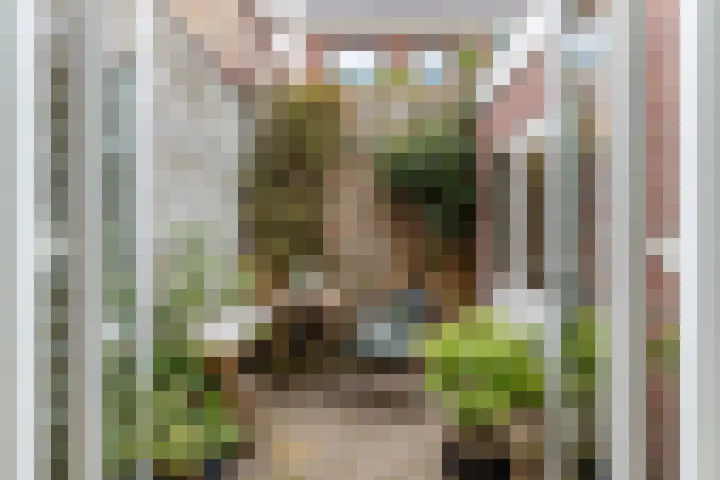 Steenstraat 9 Utrecht thumbnail 10