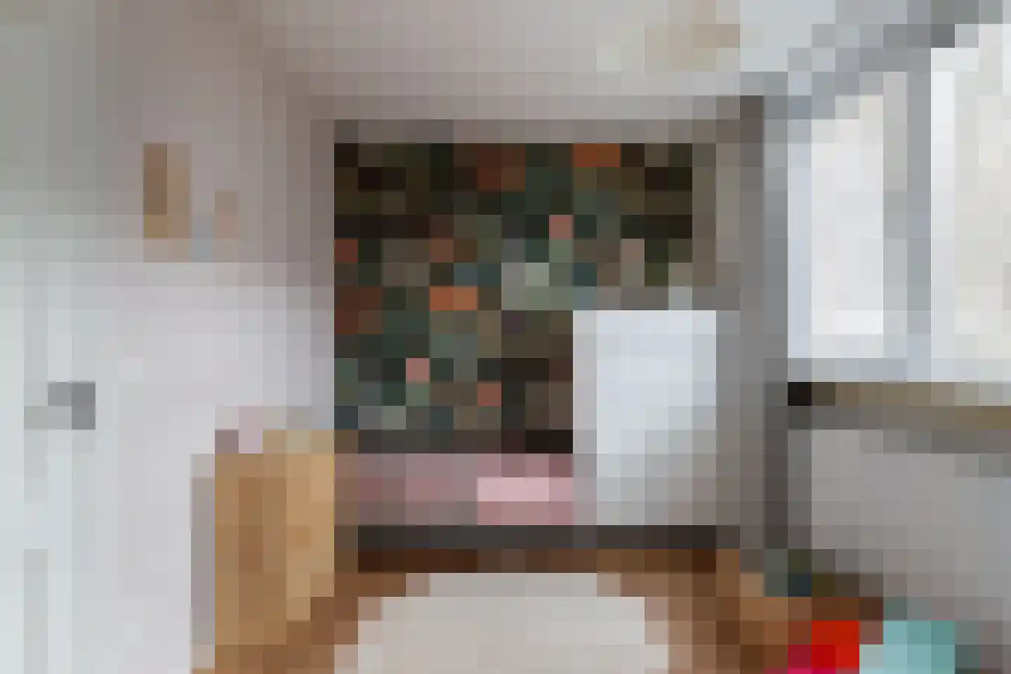 Steenstraat 9 Utrecht thumbnail 19