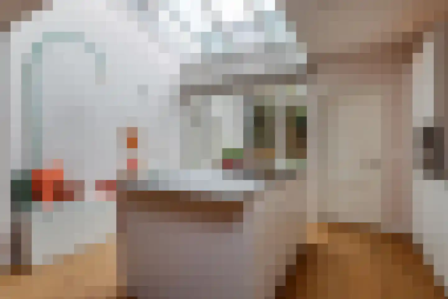 Steenstraat 9 Utrecht thumbnail 7