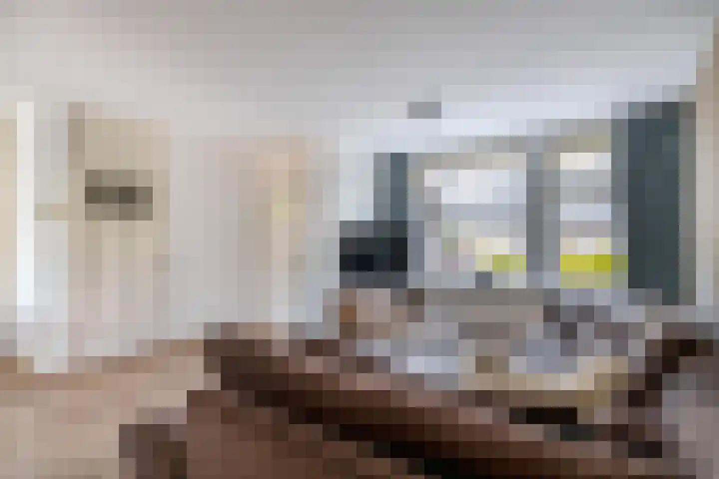 Steenstraat 92 Eersel thumbnail 13