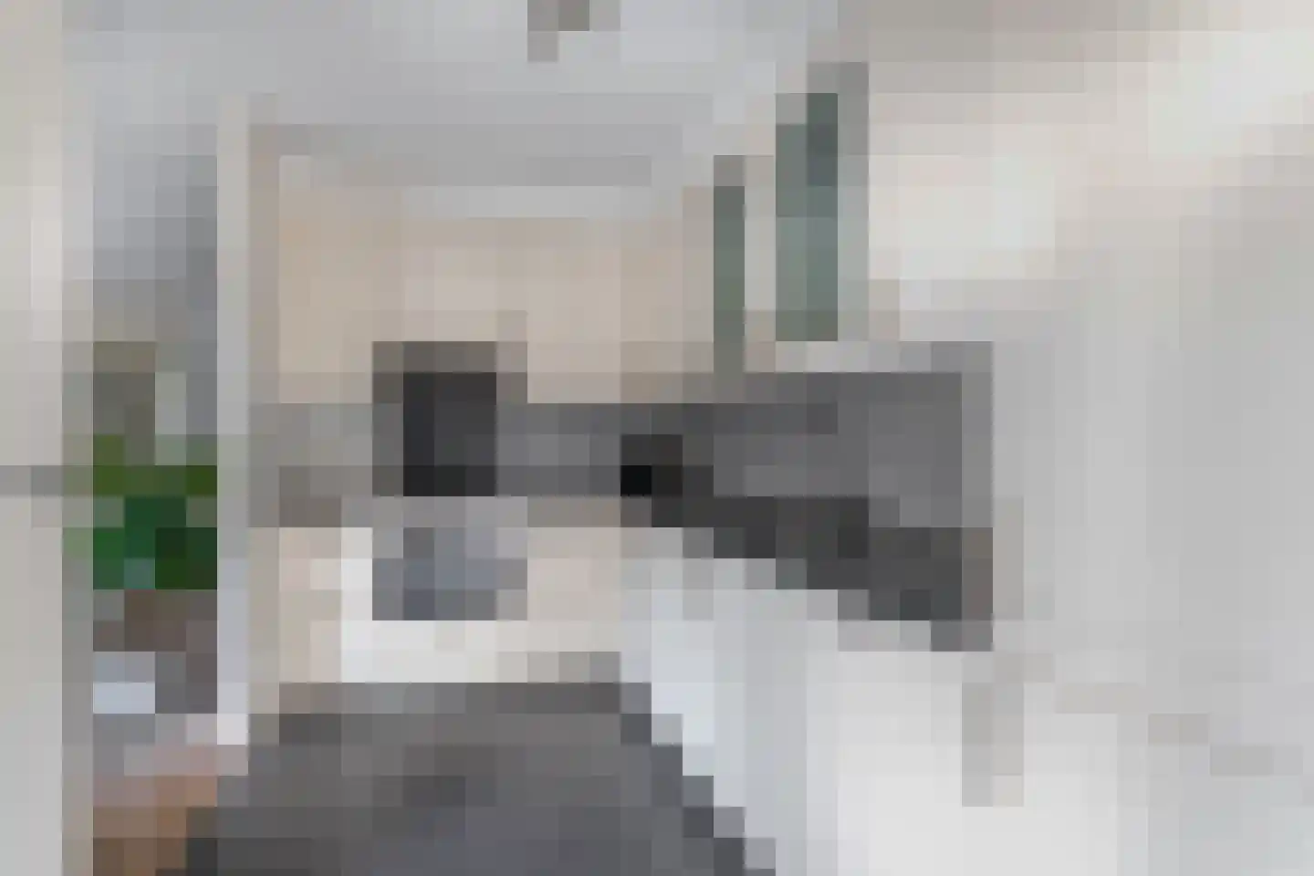 Steenstraat 92 Eersel thumbnail 21