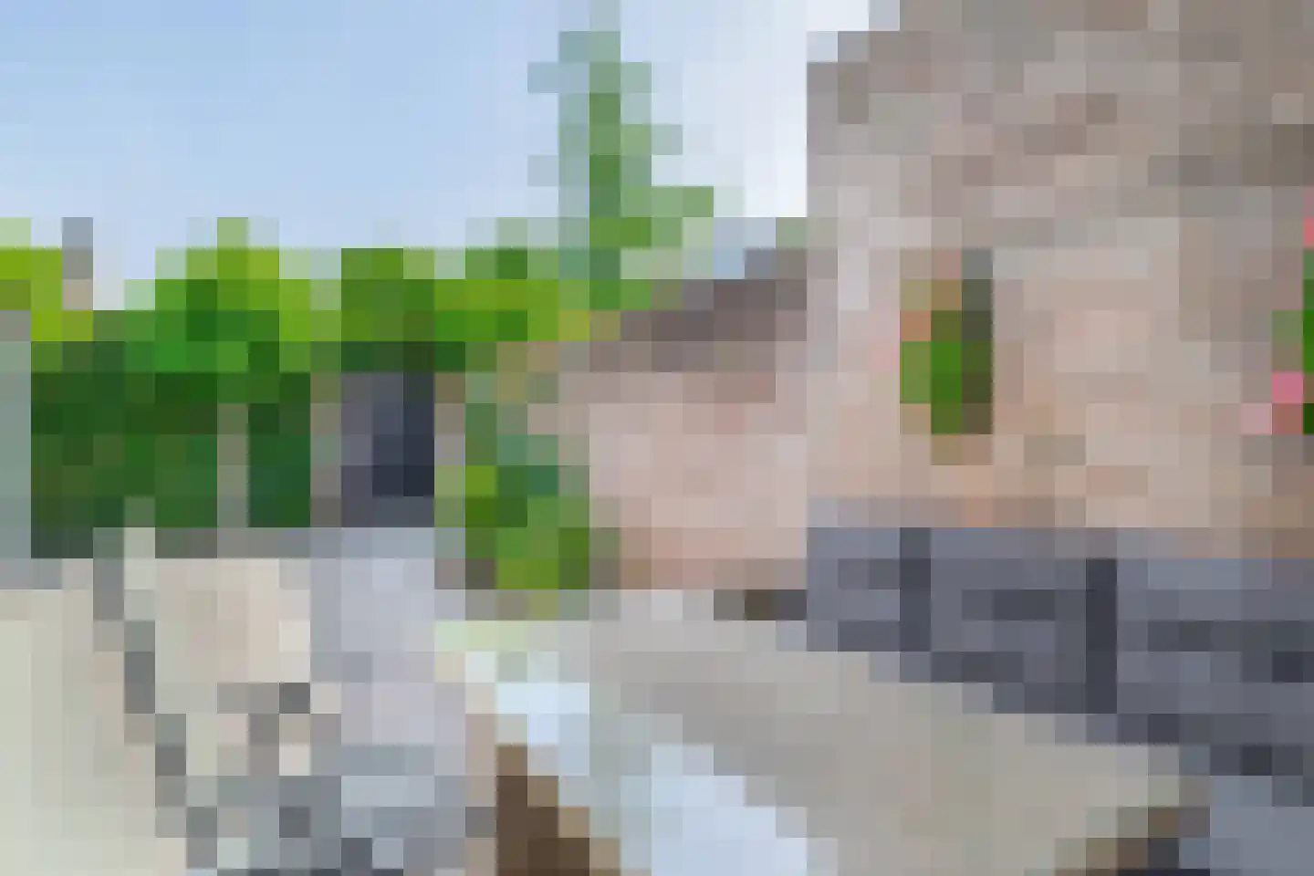 Steenstraat 92 Eersel thumbnail 41