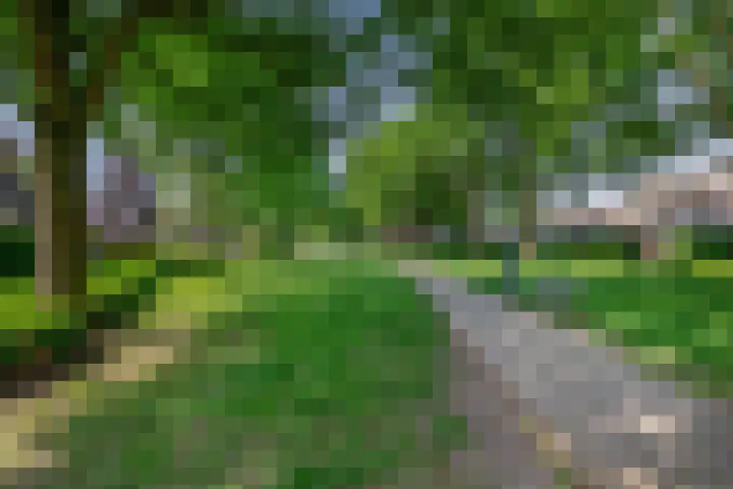 Steenstraat 92 Eersel thumbnail 43