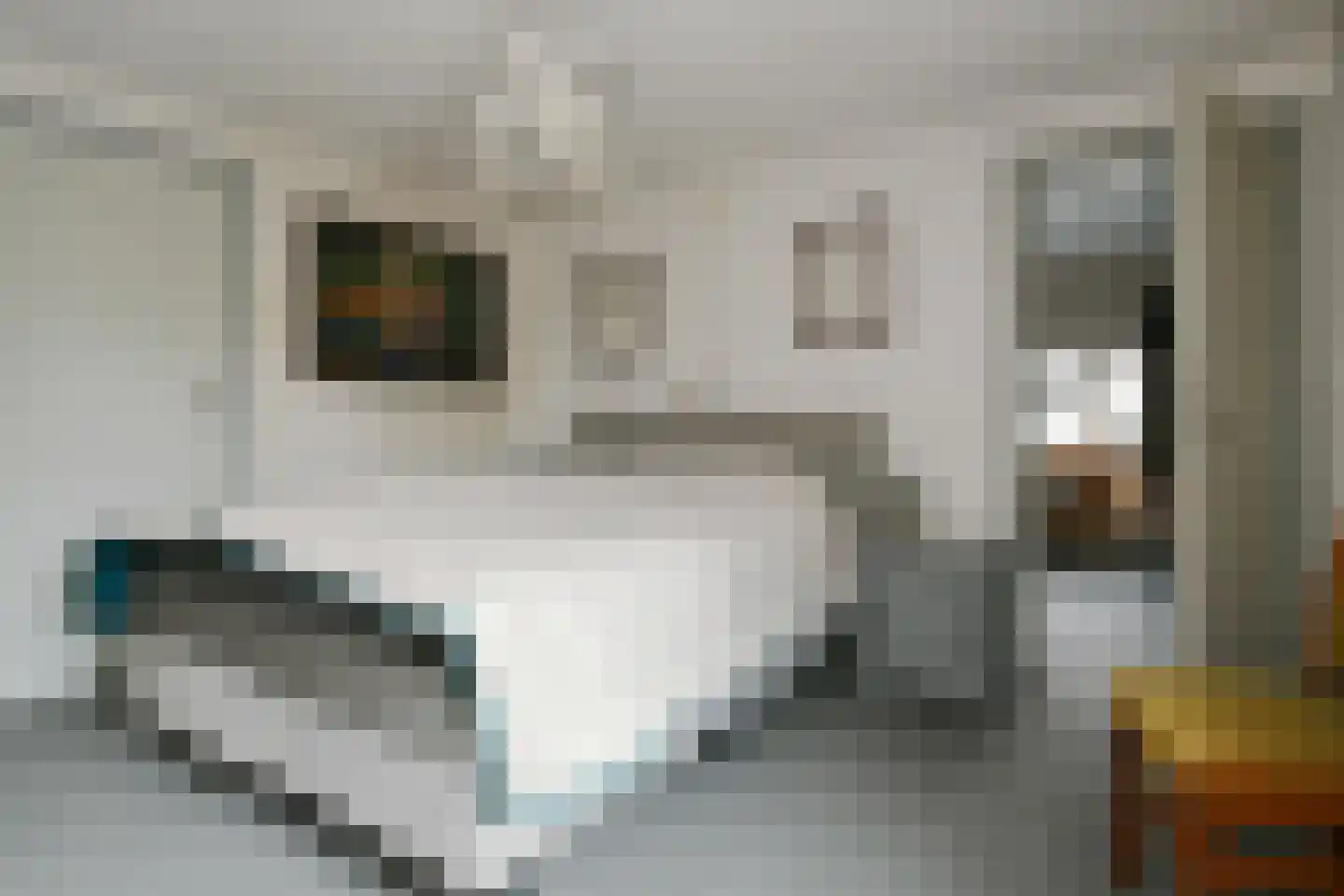 Steenstraat 93 Panningen thumbnail 15