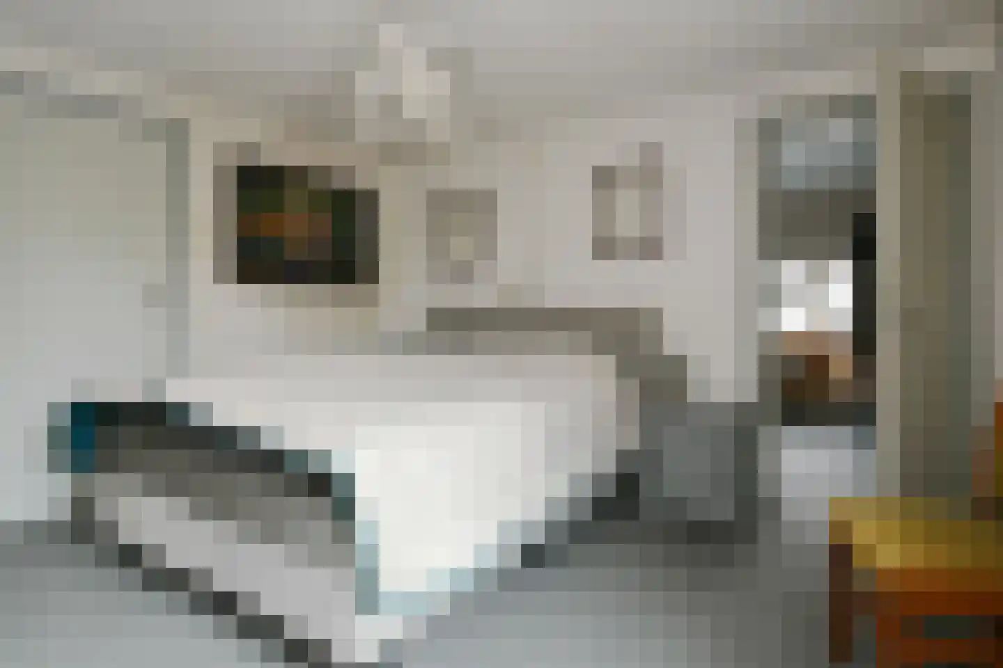 Steenstraat 93 Panningen thumbnail 18