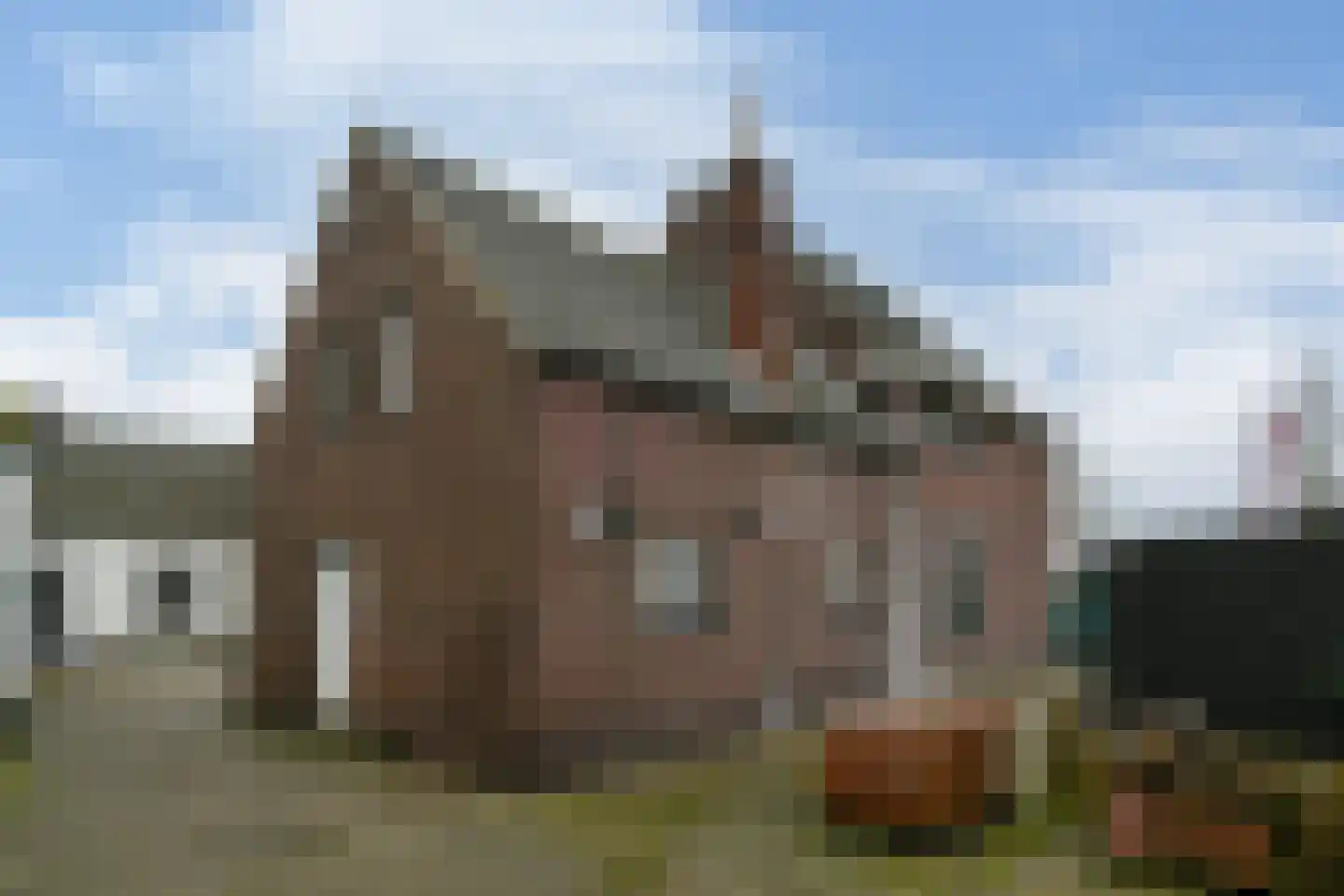 Steenstraat 93 Panningen thumbnail 23