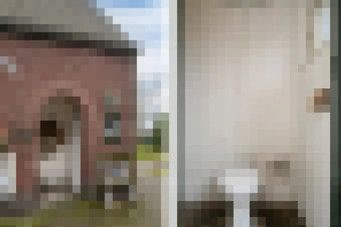 Steenstraat 93 Panningen thumbnail 25