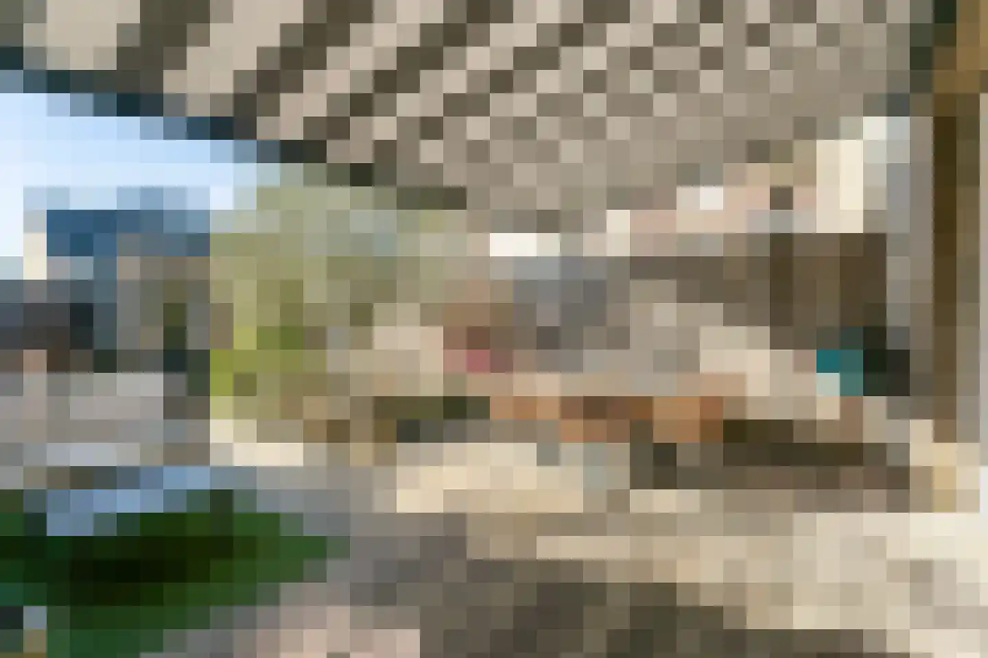 Steenstraat 93 Wijk bij Duurstede thumbnail 18