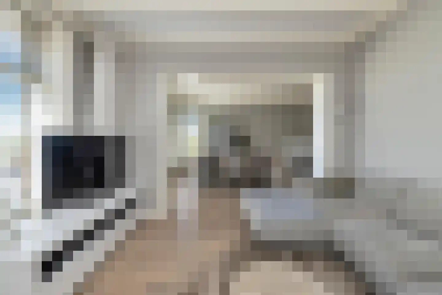 Steenstrjitte 10 Marrum thumbnail 17