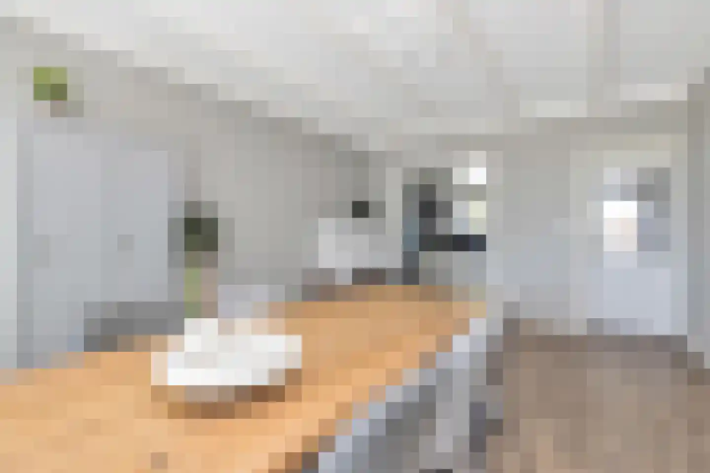 Steenstrjitte 10 Marrum thumbnail 19