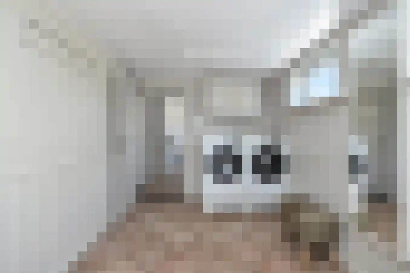 Steenstrjitte 10 Marrum thumbnail 26
