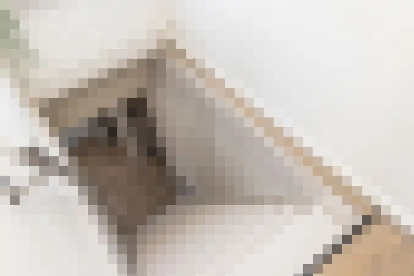 Steenstrjitte 10 Marrum thumbnail 29