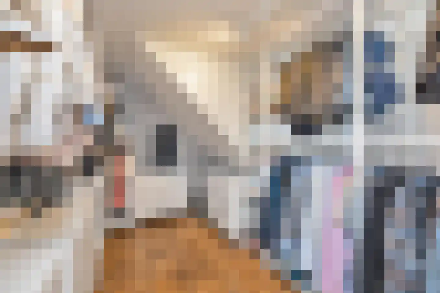 Steenstrjitte 10 Marrum thumbnail 40