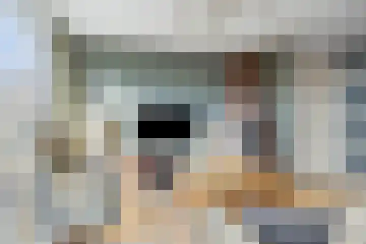 Steentijdkreek 5 Spijkenisse thumbnail 10