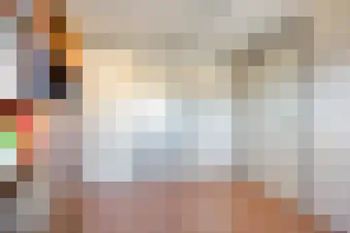 Steentijdkreek 5 Spijkenisse thumbnail 17