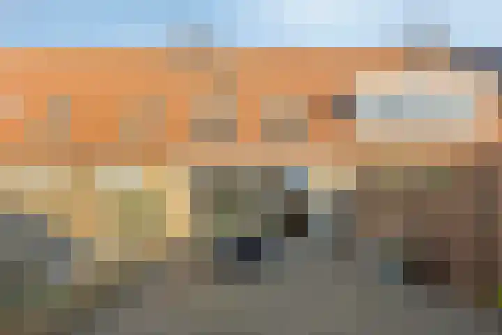 Steentijdkreek 5 Spijkenisse thumbnail 24