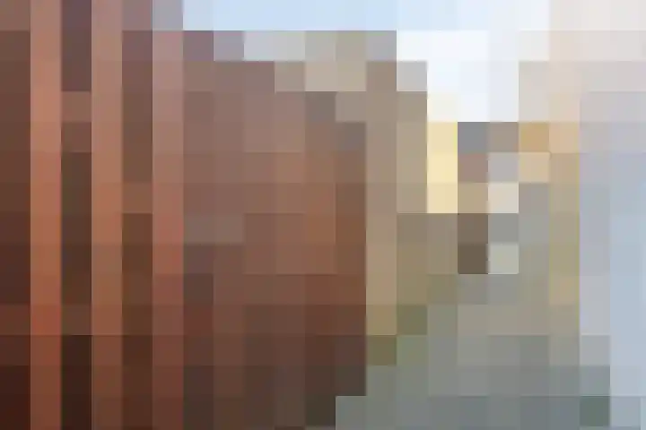 Steentijdkreek 5 Spijkenisse thumbnail 25