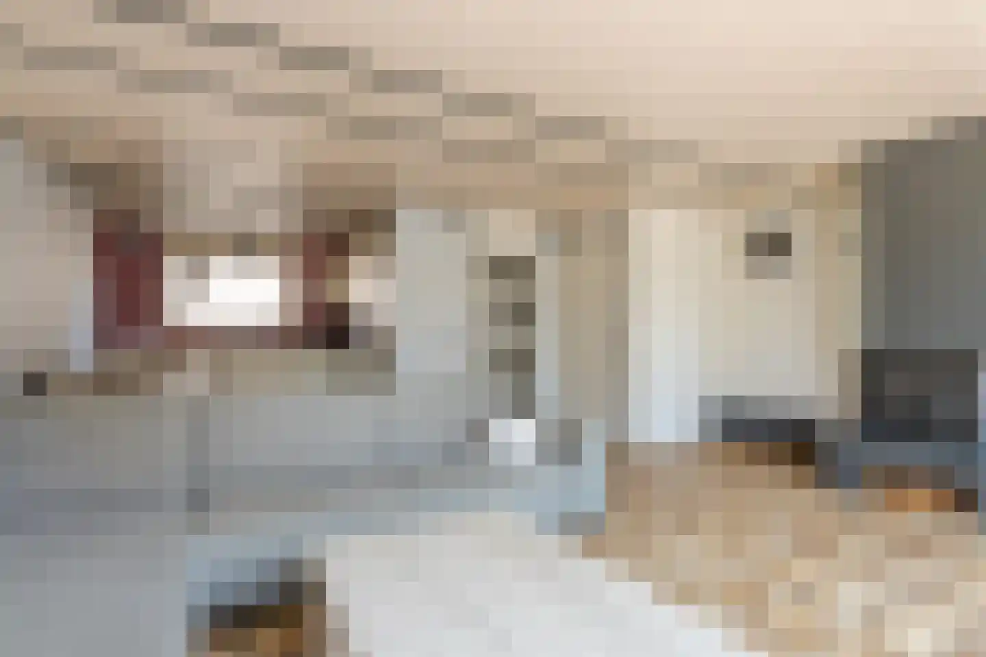 Steentijdkreek 7 Spijkenisse thumbnail 11