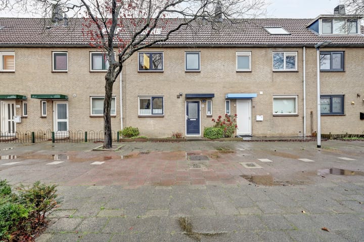 Steentijdkreek 9 in Spijkenisse Foto