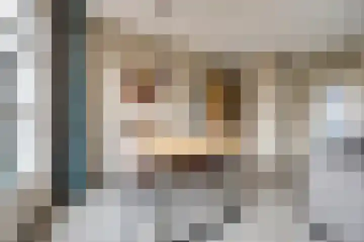 Steentijdkreek 9 Spijkenisse thumbnail 10