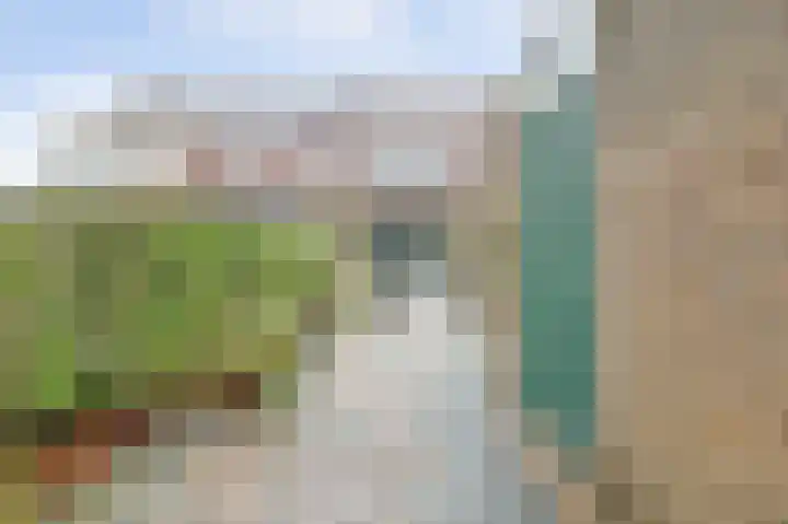 Steentijdkreek 9 Spijkenisse thumbnail 12