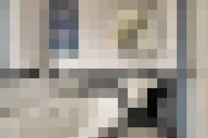 Steentijdkreek 9 Spijkenisse thumbnail 15