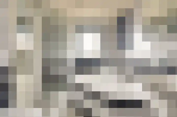 Steentijdkreek 9 Spijkenisse thumbnail 16