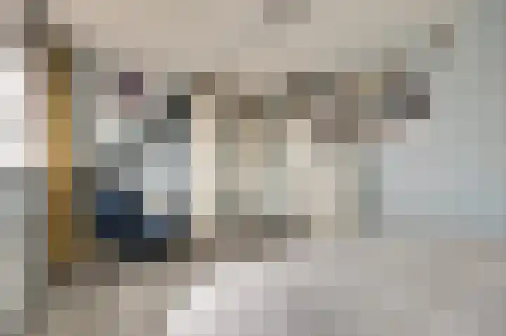 Steentijdkreek 9 Spijkenisse thumbnail 18
