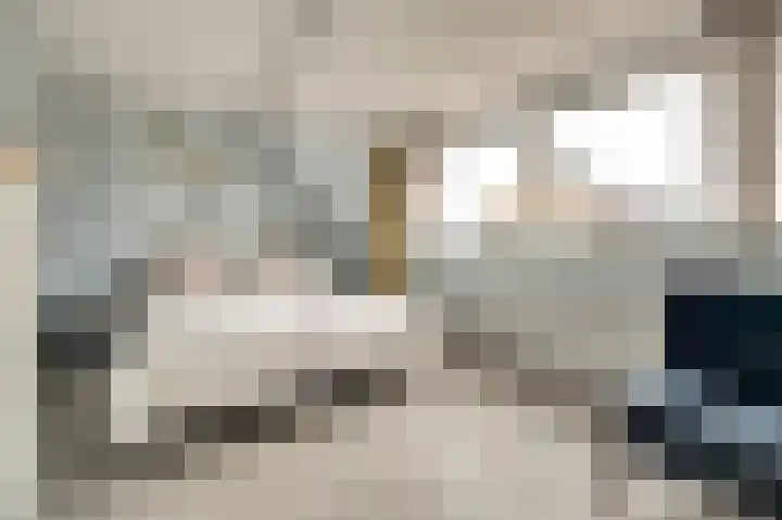 Steentijdkreek 9 Spijkenisse thumbnail 19