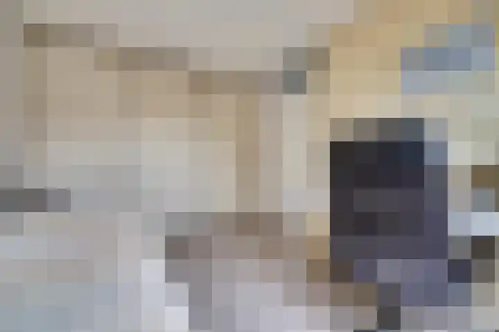 Steentijdkreek 9 Spijkenisse thumbnail 20