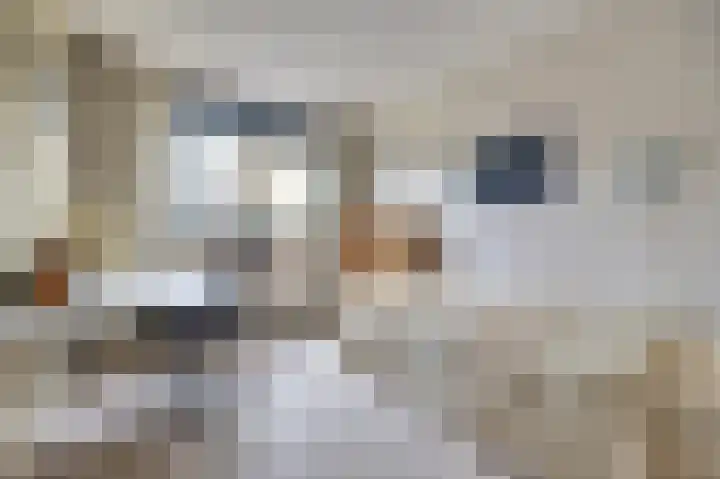 Steentijdkreek 9 Spijkenisse thumbnail 21