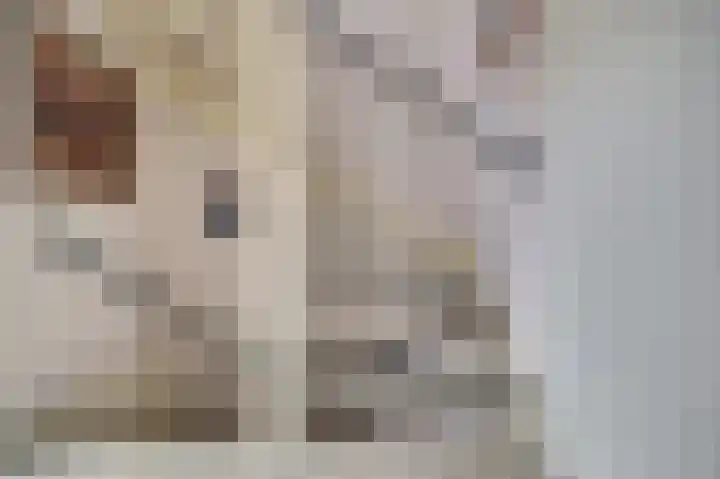 Steentijdkreek 9 Spijkenisse thumbnail 22